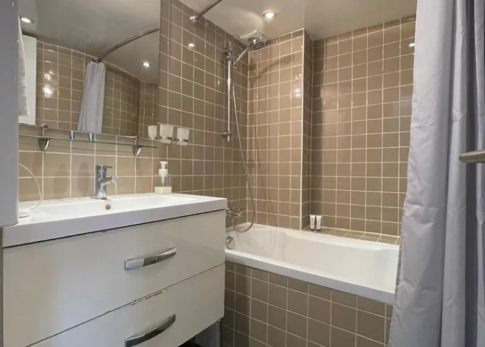 Vue Sur La Seine * باريس